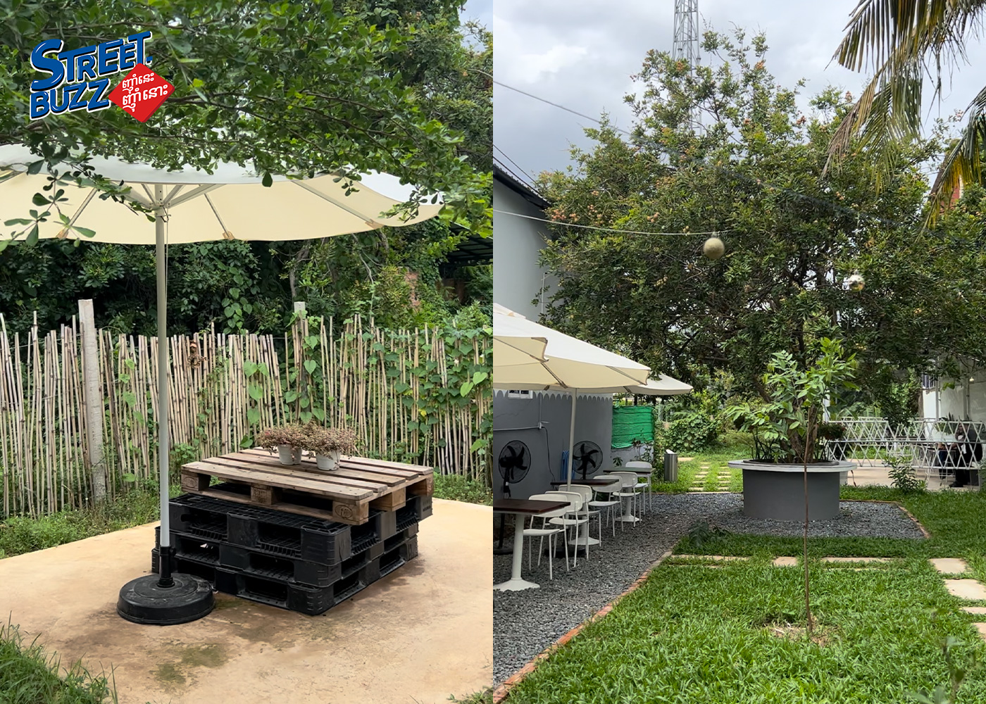 COKOBAR: A Café That Combines Coffee, Nature, and Relaxation