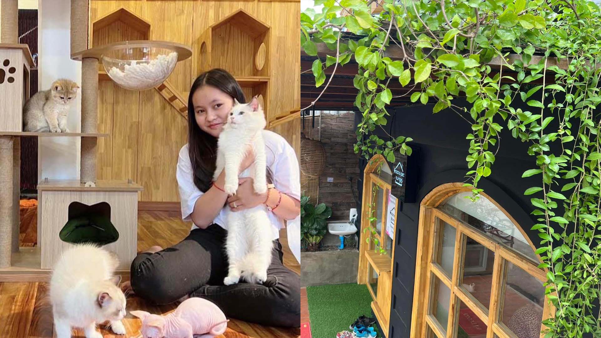 Coco Cat Café