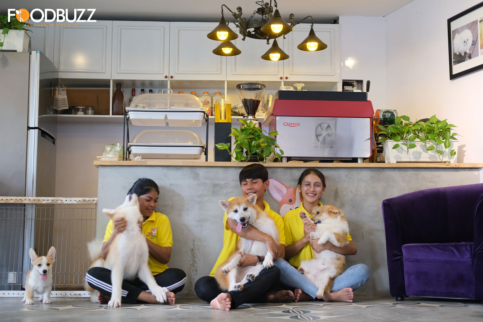 Love Dogs and Coffee? Come to this Instragrammable Pet Café!