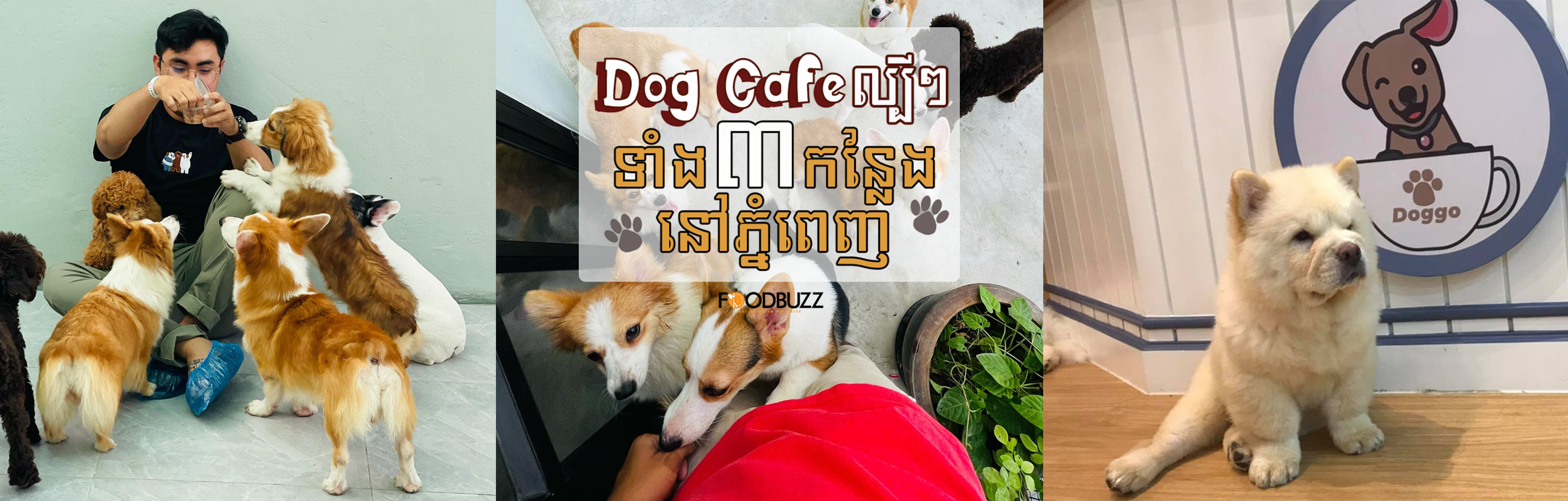 Coffee to warm your heart and Dogs to warm your soul 3 trendiest Dog