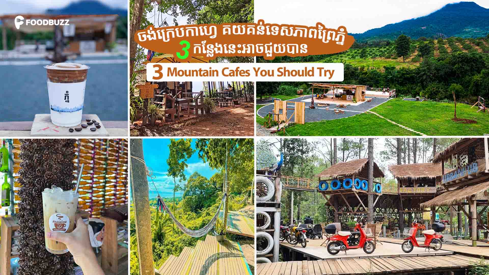 3 mountain cafes in Cambodia you should try for nature scenery and a good cup of coffee